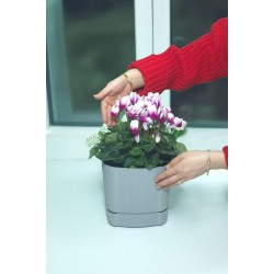 Karezar Seti – 2 Adet Kare Şekilli Dekoratif Plastik Saksı, Gri Renk (4.8 Litre)