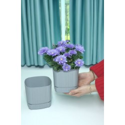 Karezar Seti – 2 Adet Kare Şekilli Küçük Saksı, Gri Renk (1.3 Litre)