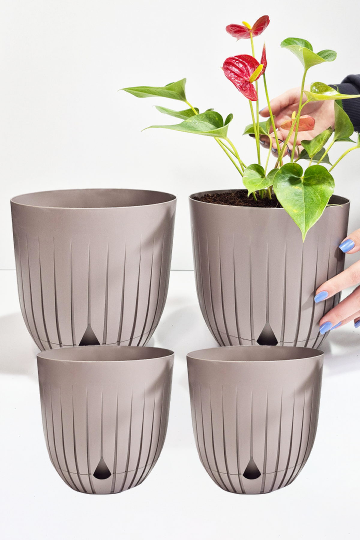 2 Adet 5 Litre Ve 2 Adet 2.2 Litre Dekoratif Plastik Saksı Seti kapuçino rengi