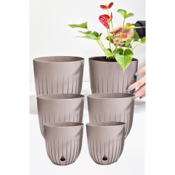 6 Adet Dekoratif Plastik Saksı Seti (2x 5 Litre, 2x 2.2 Litre, 2x 1.1 Litre), Kapuçino Rengi