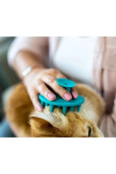 Yumuşak Silikon Uçlu Kedi Köpek Kaşıma Yıkama Fırçası Tarağı Vantuzlu  Turkuaz