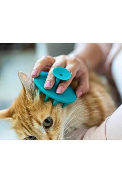 Yumuşak Silikon Uçlu Kedi Köpek Kaşıma Yıkama Fırçası Tarağı Vantuzlu  Turkuaz
