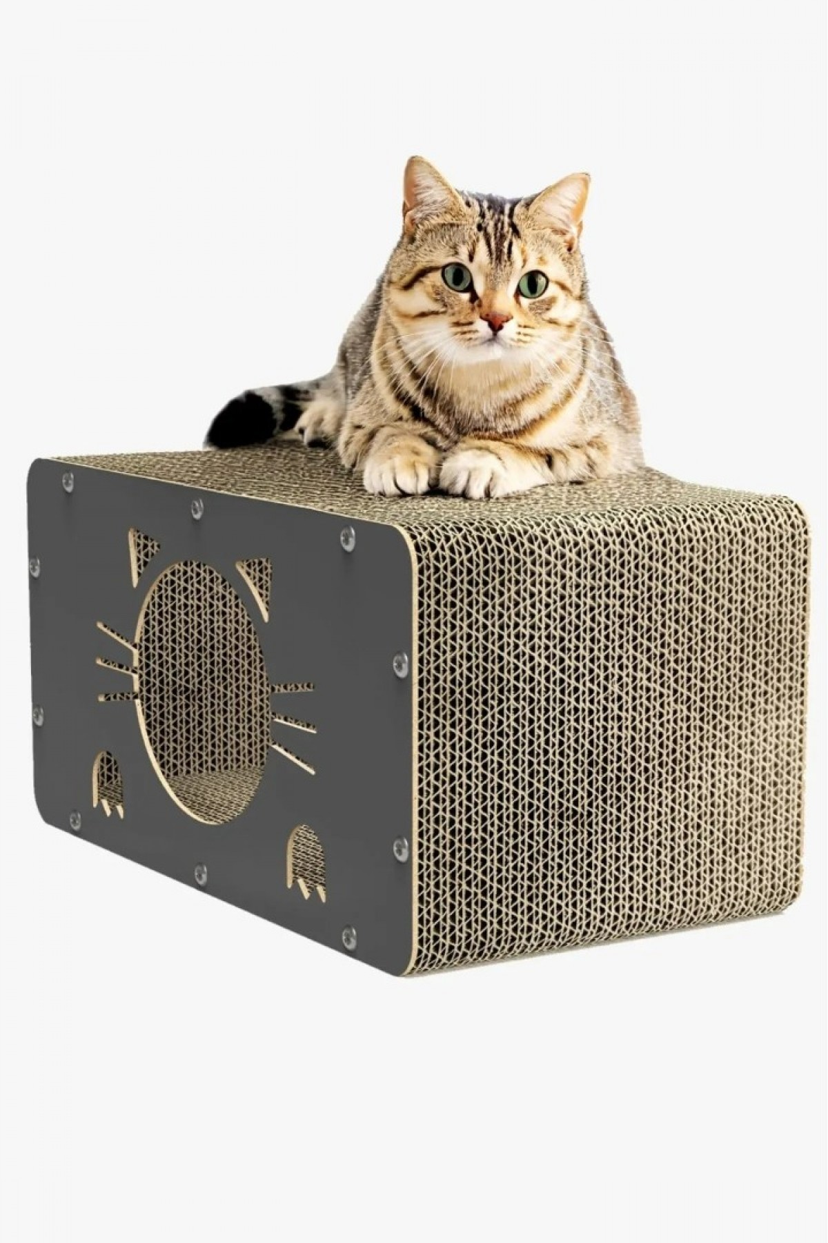 Tırmata Yeni Ürün Doğal Karton Kedi Tırmalaması Kedi Tırmalama Kanepesi Tahtası Kedi Tırmalama Evi