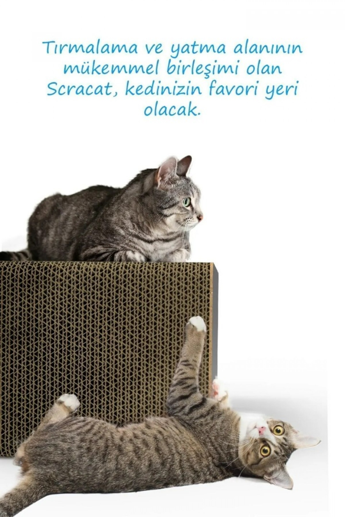 Tırmata Yeni Ürün Doğal Karton Kedi Tırmalaması Kedi Tırmalama Kanepesi Tahtası Kedi Tırmalama Evi