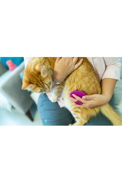 Yumuşak Silikon Uçlu Kedi Köpek Kaşıma Yıkama Fırçası Tarağı Vantuzlu Pembe Yumuşak Silikon Uçlu Kedi Köpek Kaşıma Yıkama Fırçası Tarağı Vantuzlu Pembe