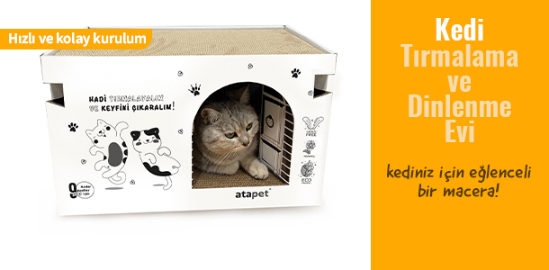 Kedi Tırmalama ve Dinlenme Evi
