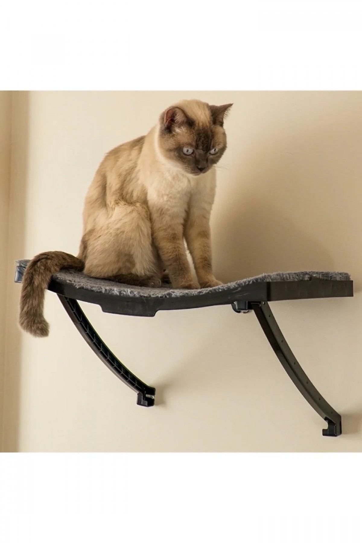 Duvar İçin Plastik Kedi Yatağı Duvar Kedi Terası Ve Tüneği