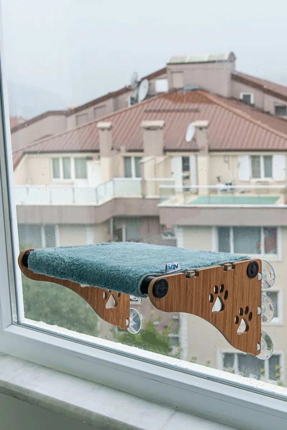 Ahşap Cama Yapışan Kedi Yatağı Vantuzlu Cam Yatağı Terası Yeşil