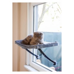 Yeni Model Cam Ve Duvar Için Kedi Yatağı Vantuzlu