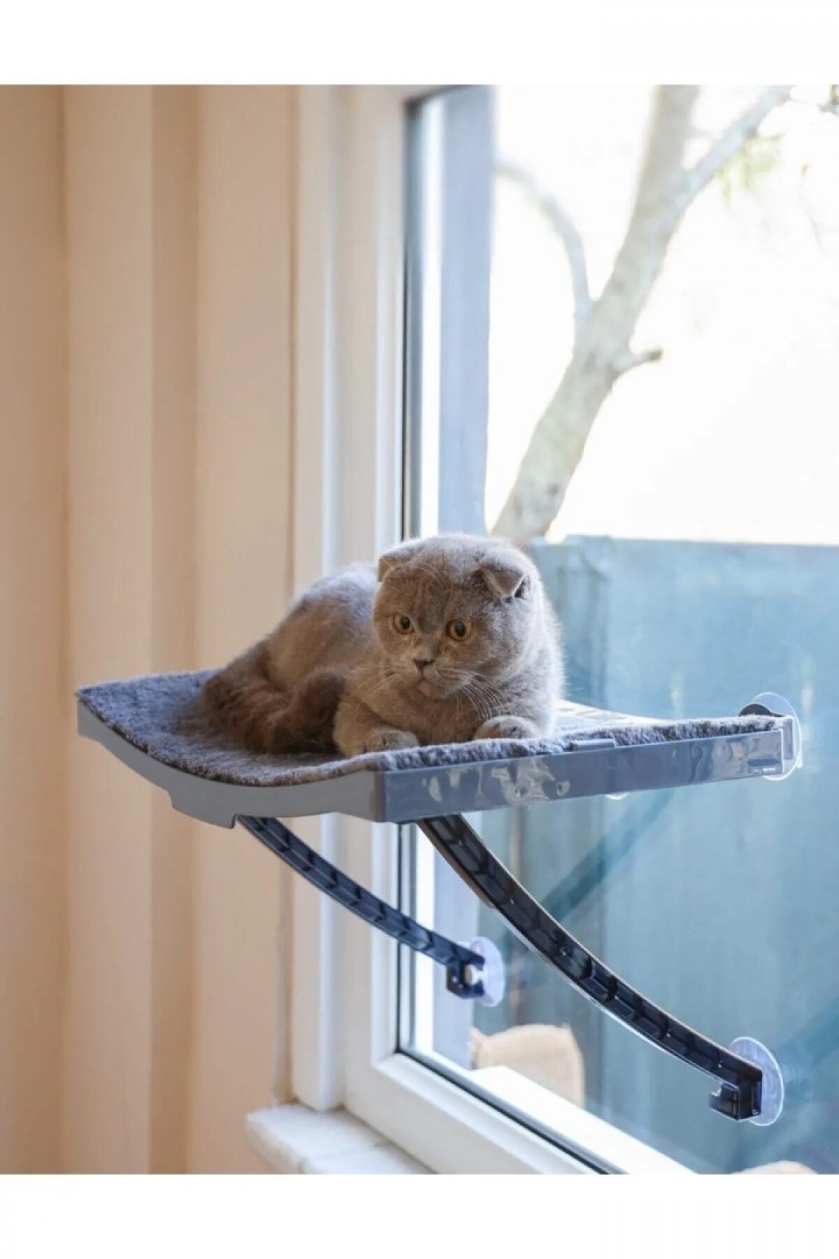 Yeni Model Cam Ve Duvar Için Kedi Yatağı Vantuzlu