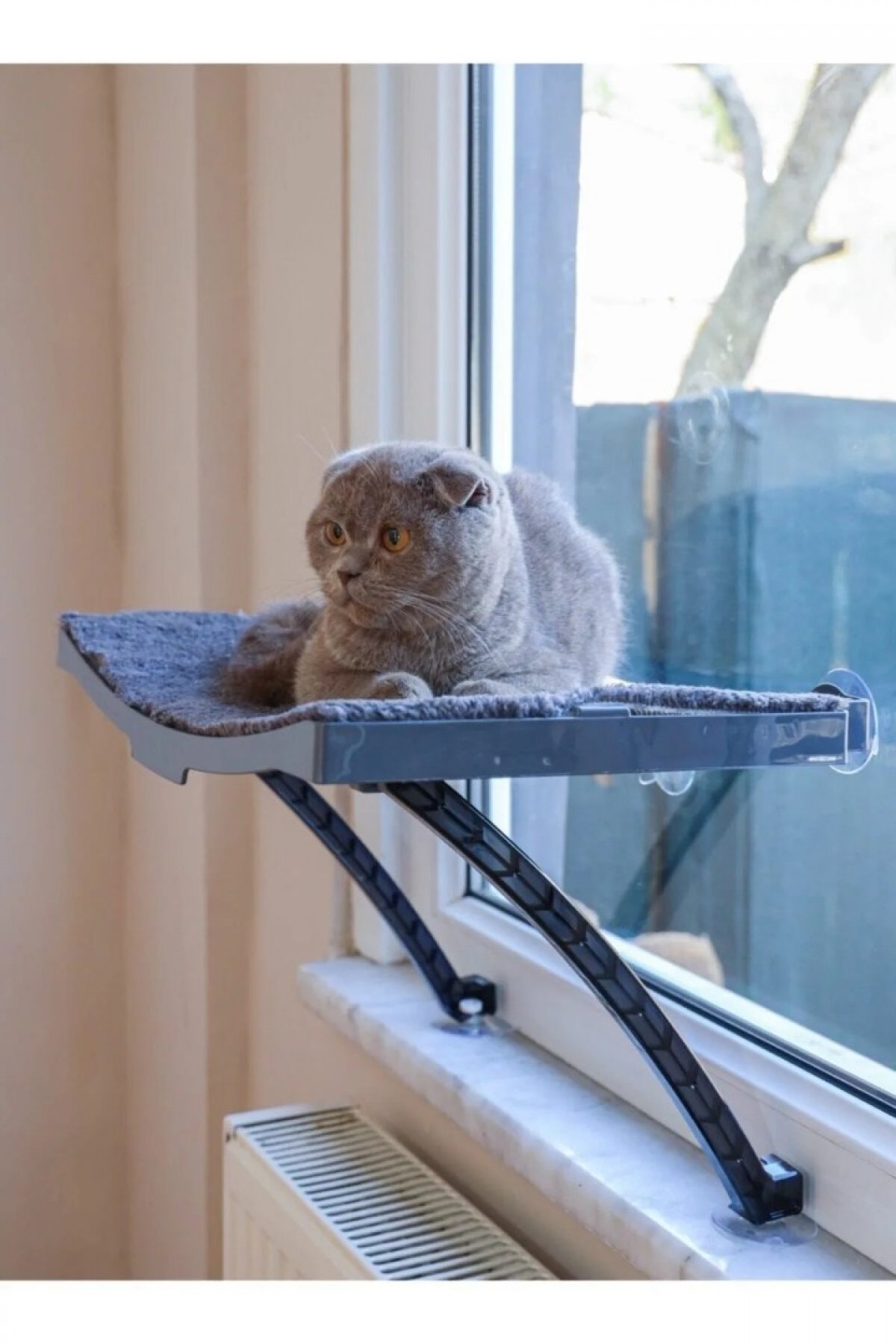 Yeni Model Cam Ve Duvar Için Kedi Yatağı Vantuzlu