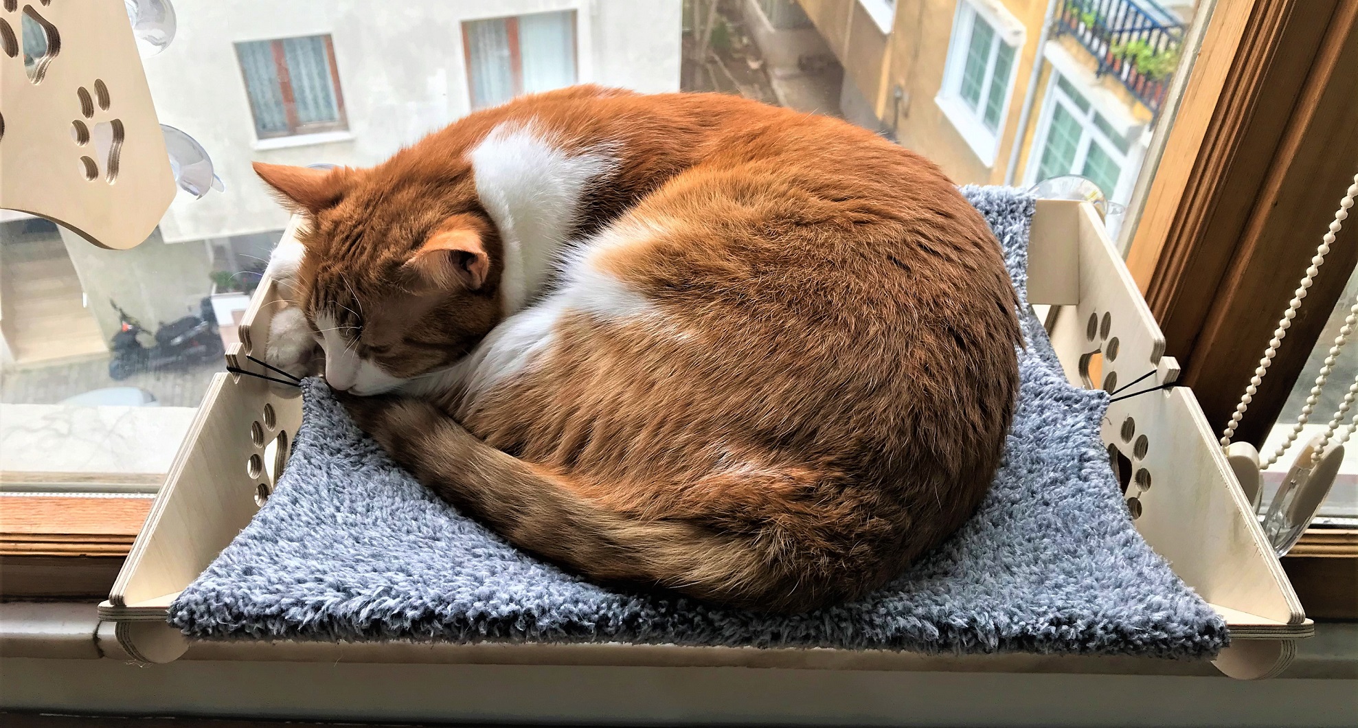 Dogal Ahsap Cama Asilan Kedi Yatagi Vantuzlu Ata Home